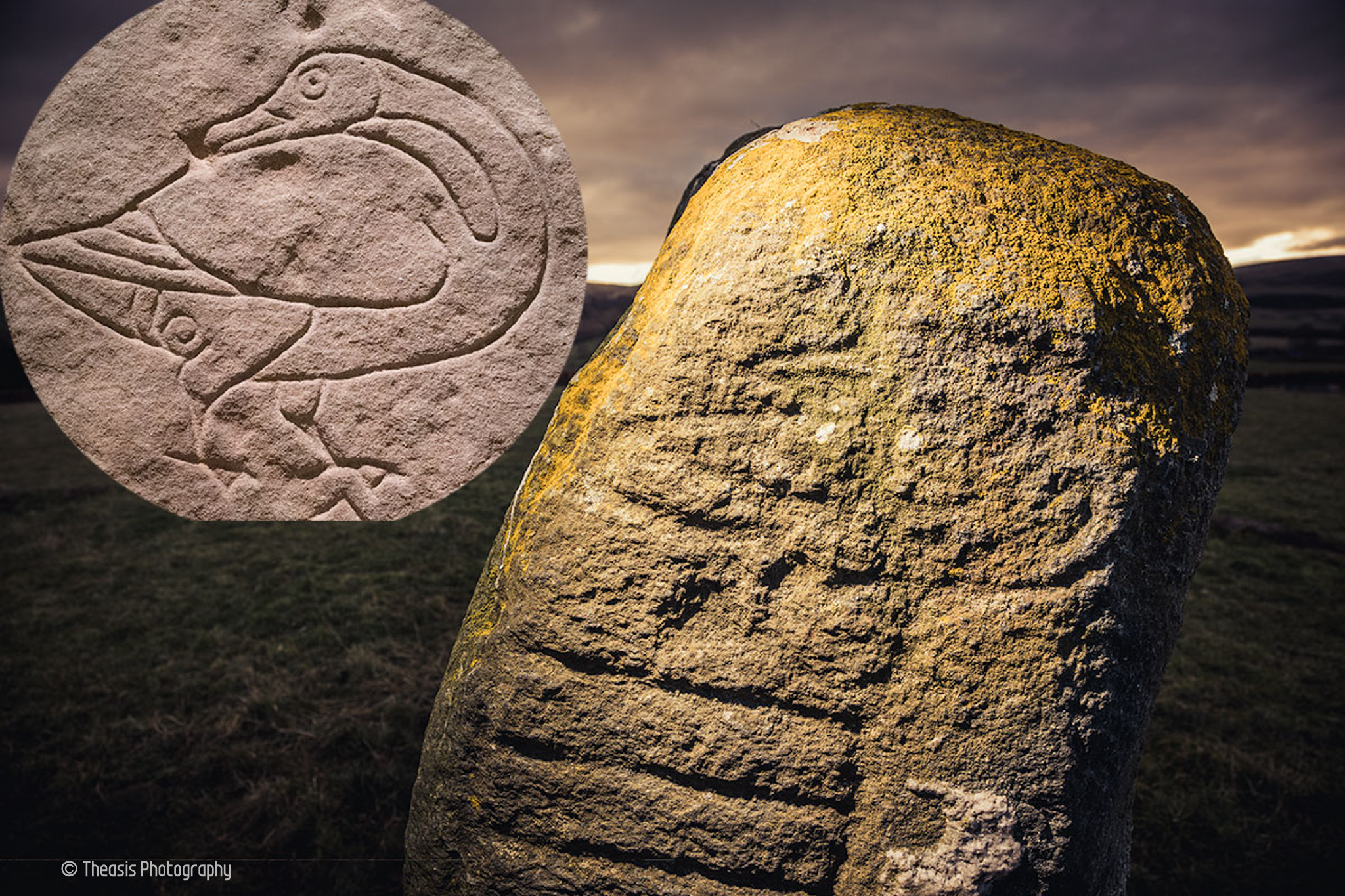 The upper "goose" symbol with an inset of the Pictish goose from the Easterton of Roseisle stone in the National Museum of Scotland for comparison