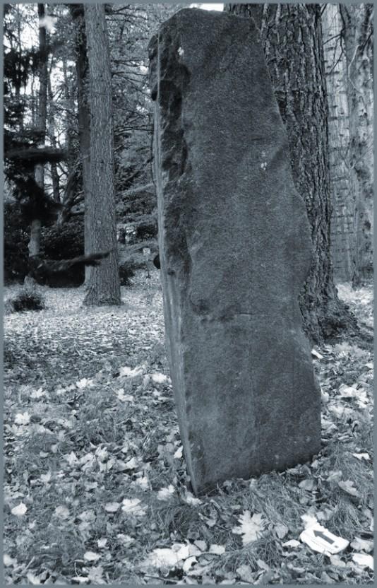 Balnakeilly stone looking northeast - north is indicated by the arrow at the base of the stone.