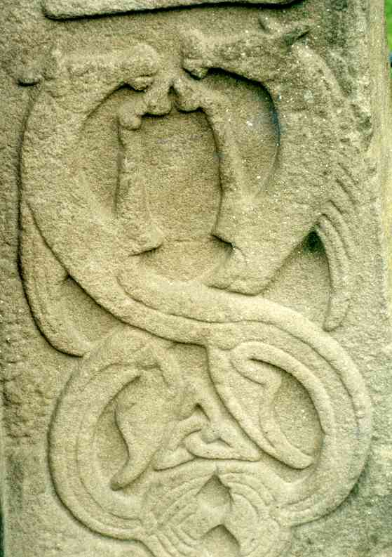 Detail of the interlaced creatures at the bottom-right of the cross side. Could these sea-horses be a more sophisticated version of the Pictish beast?