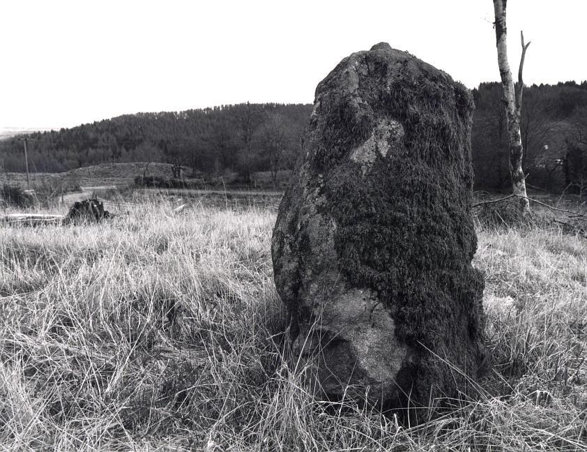 One of the portal stones of the southwestern chamber, looking east.