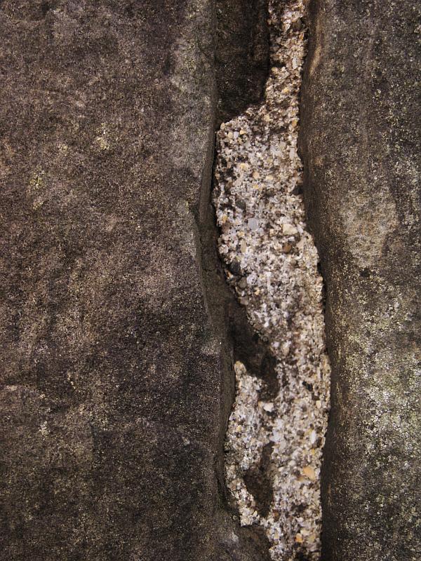 Detail of coarse sediment.