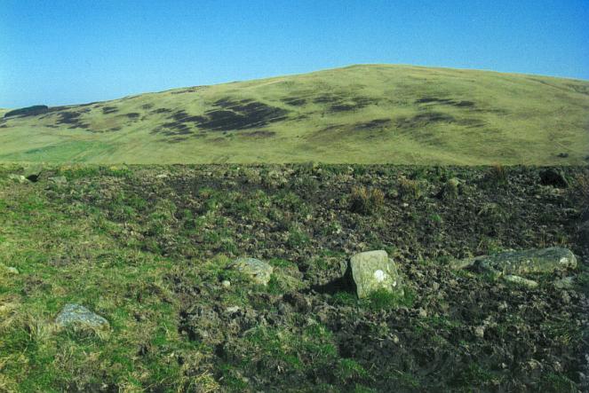 Low stones on the eastern arc, looking towards White Hill.  The circle is on a level area and the hill falls away sharply to the valley floor where the horizontal line runs across the centre of the picture.