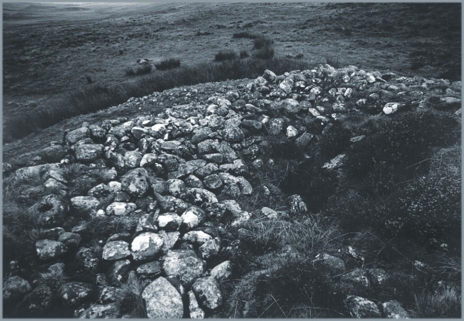 The top of the cairn.  The dark area at the centre-right and lower-right of the picture is a depression from where stone has been robbed.  It reaches down to a cist within the body of the cairn.