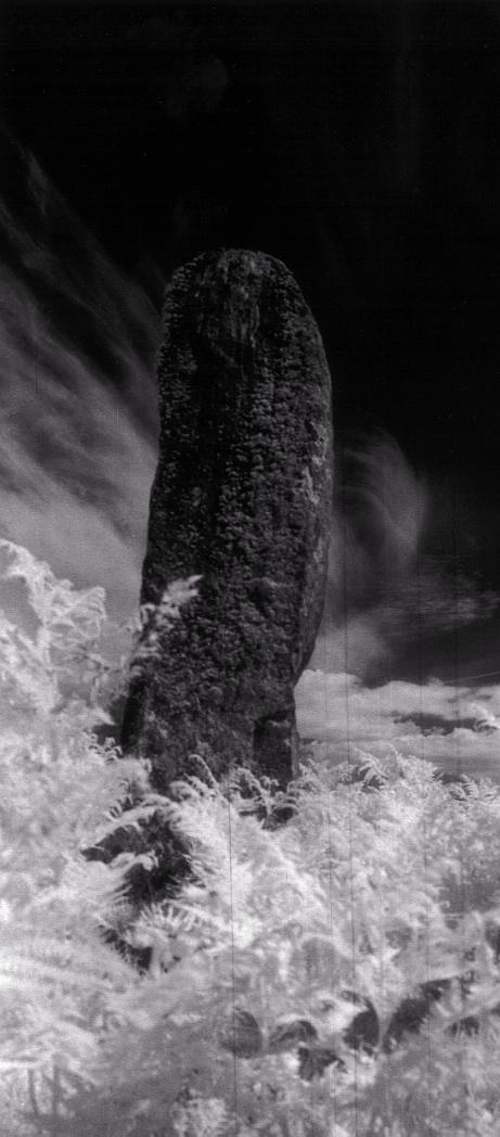 Infra red picture of the east face of the stone.