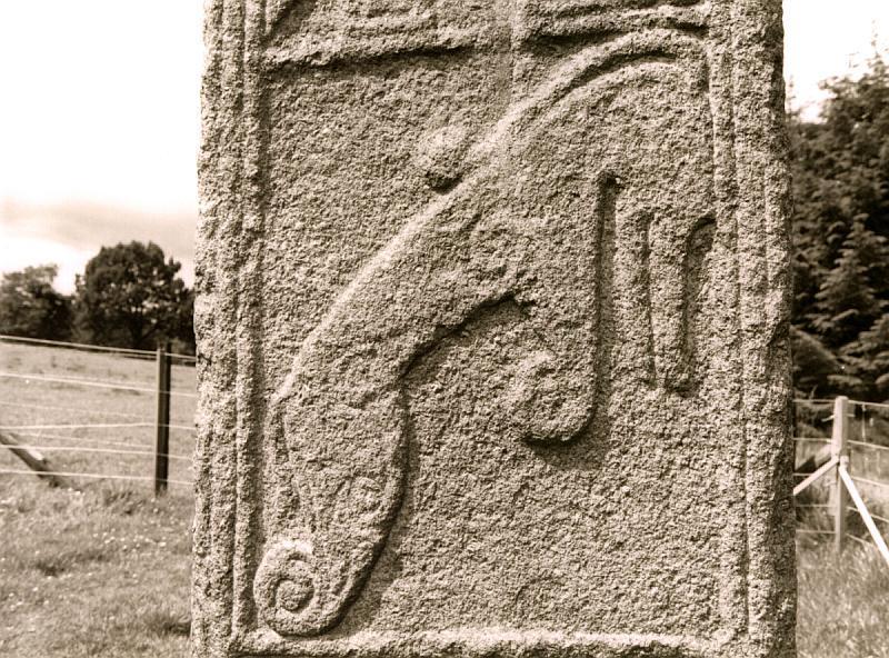 Detail of the Pictish beast.