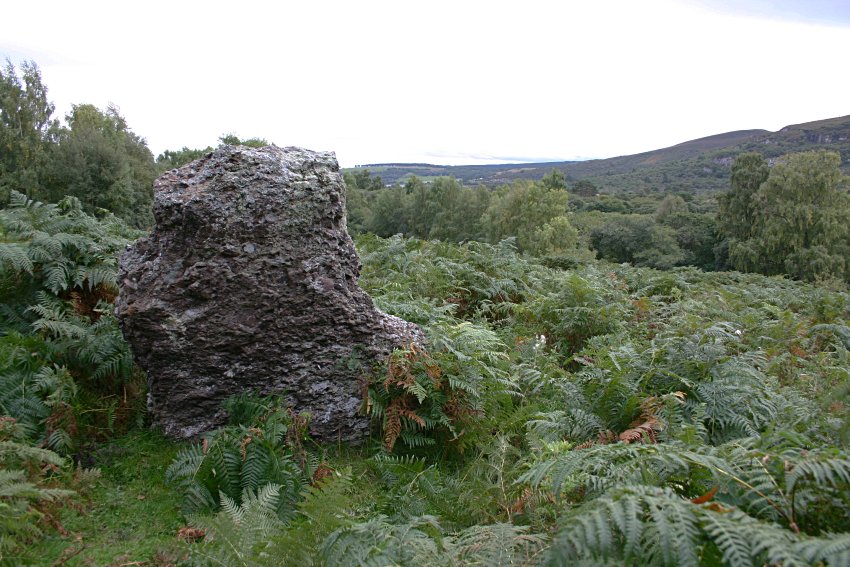 The largest stone, made from a red lumpy conglomerate, stands on the eastern side of the circle.