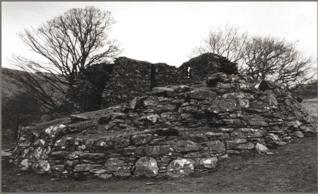  View from outside the broch looking towards the more damaged wall