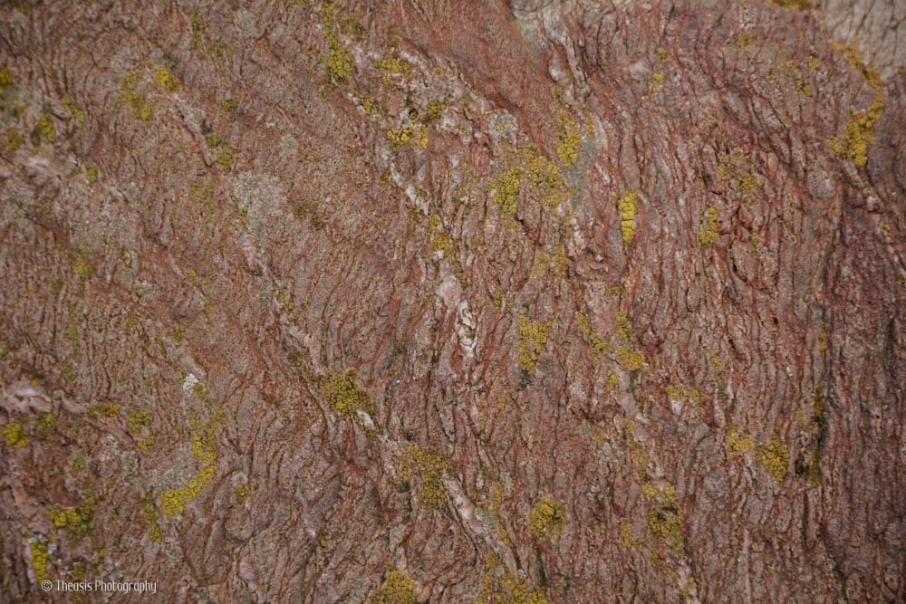 Layered texture of one of the boulders