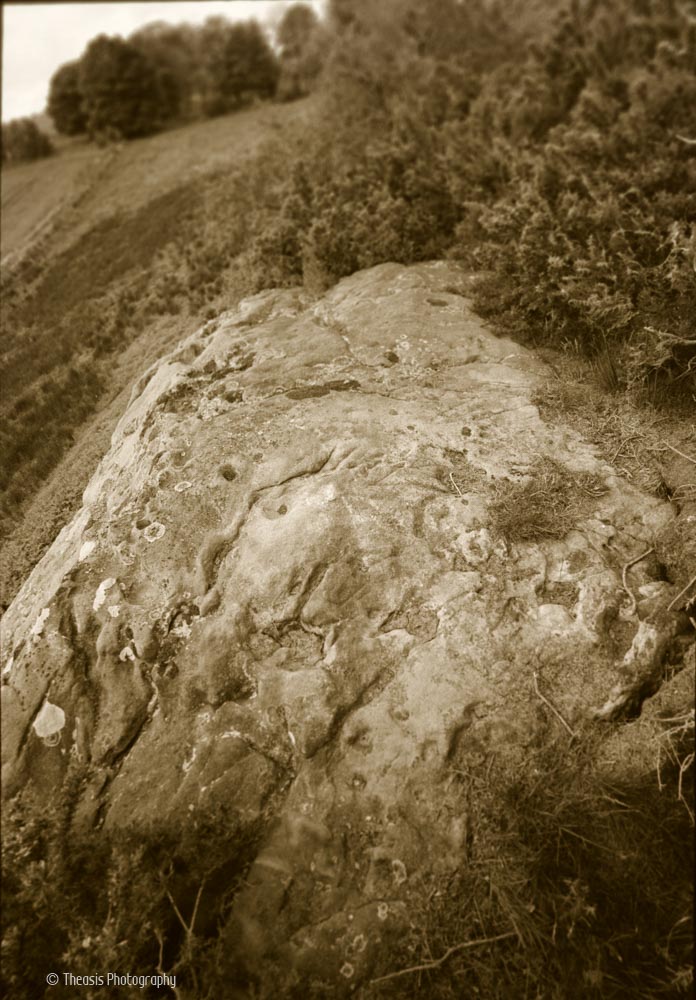 A rocky ridge with an assortment of naturally eroded marks plus cup-and-ring carvings.