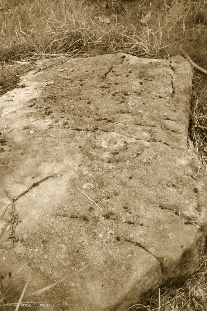 Outcrop with a cup and triple ring along with some fainter marks.