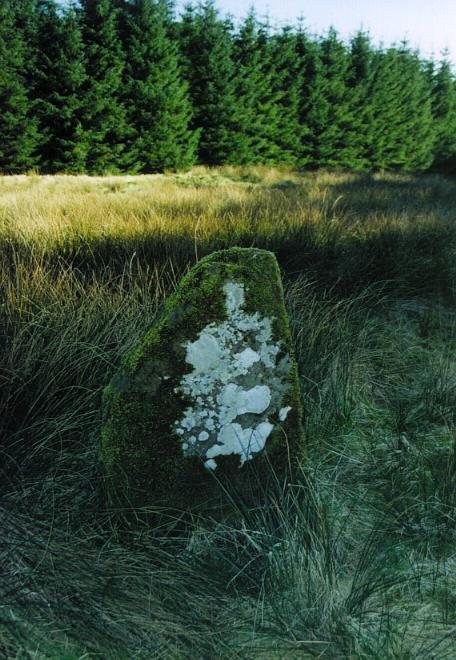 The southern stone, seen from inside the circle.