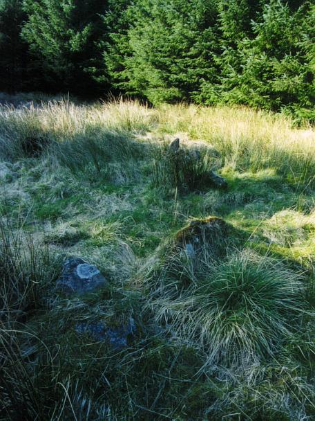 The low stones on the northern arc, mostly disappearing into the grass.