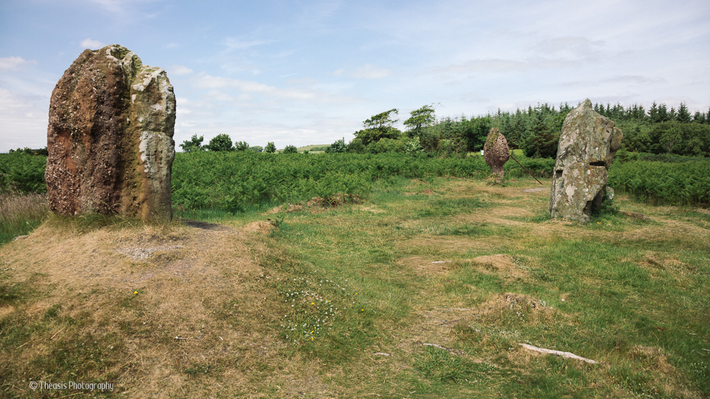 Ancient Scotland - Blackpark Plantation