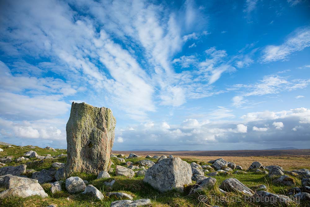 The tallest of the standing stones amongst the "cairn" scatter.