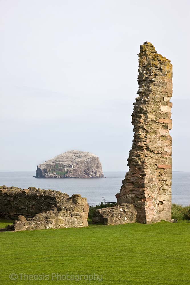 Ruined wall and the Bass Rock beyond.