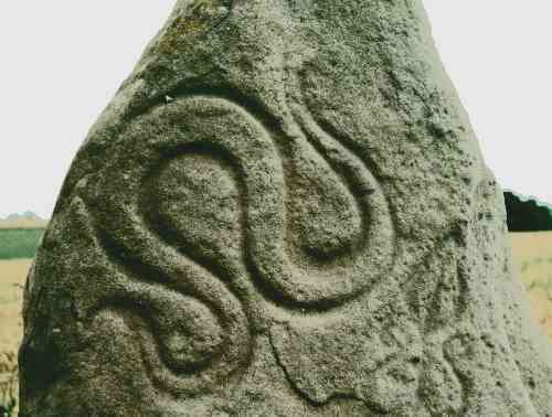 Detail of the serpent symbol.