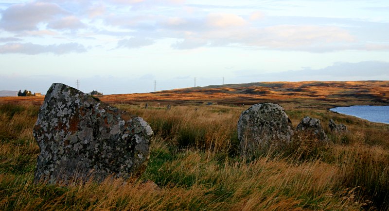 The eastern line is in the foreground.  Five stones of the western line  can be seen in the distance between the two nearest stones.