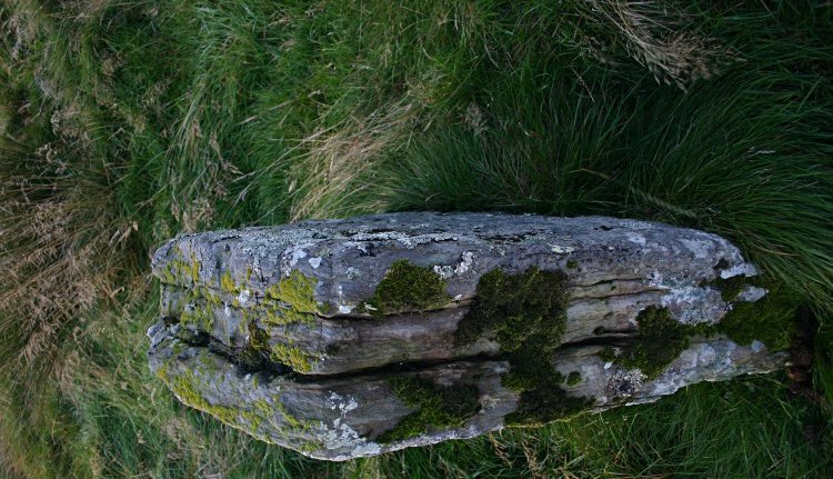 Some stones are missing after splitting apart, as weathering is causing this stone to split.
