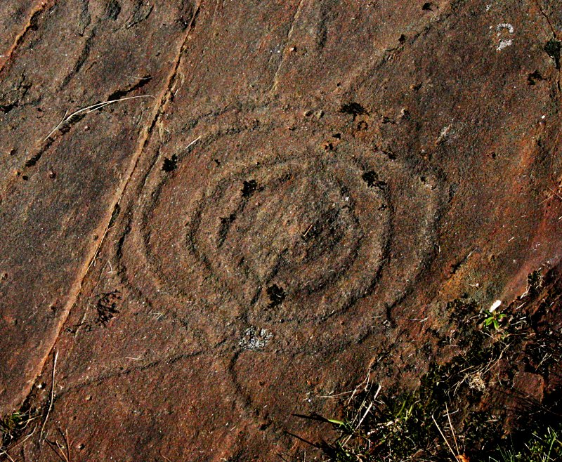 Detail of one of the cup and ring carvings.