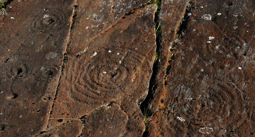 Detail of several of the cup and ring carvings with radialgrooves through the rings.