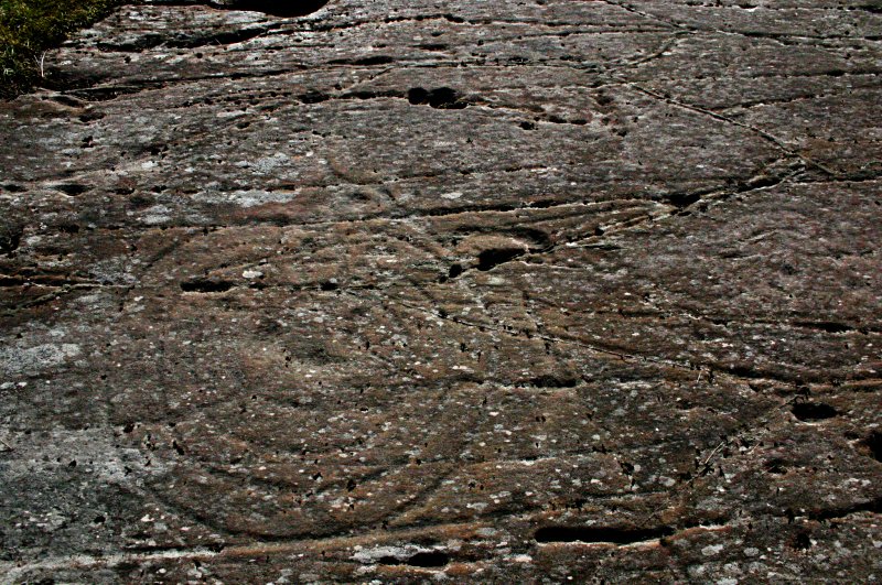 Detail of one of the larger carvings.  Although badly eroded theouter rings are about 1 metre in diameter.