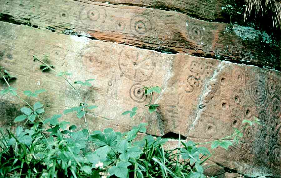  Another view of some of the "weirdo" marks.