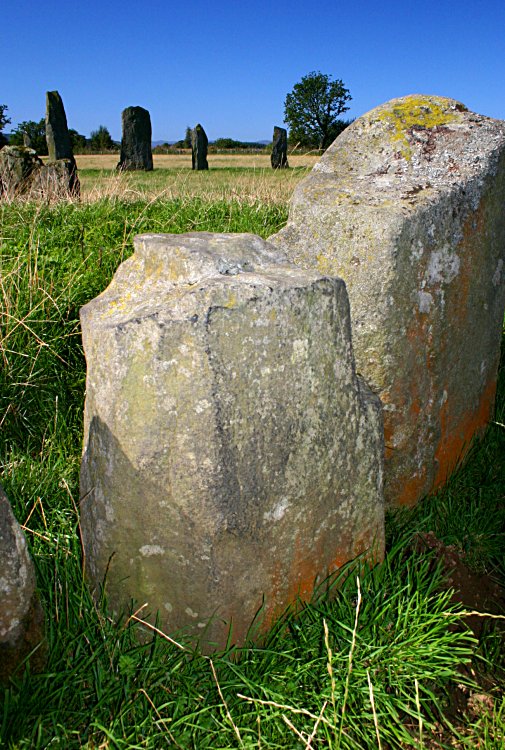 Looking west with the <xref s="17">Ballymeanoch stone rows</xref> visible behind.