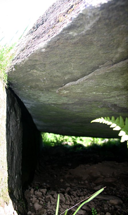 The cist at the centre of the henge, looking under the capstone.