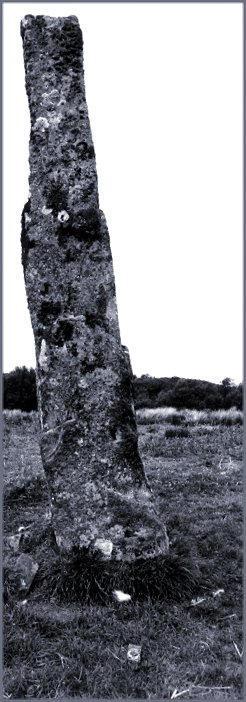 The south face of the monolith.  The compass at the bottom centre of the picture indicates north up and slightly right.  A cup mark can be seen about one quarter of the way up the stone at the right-hand edge.