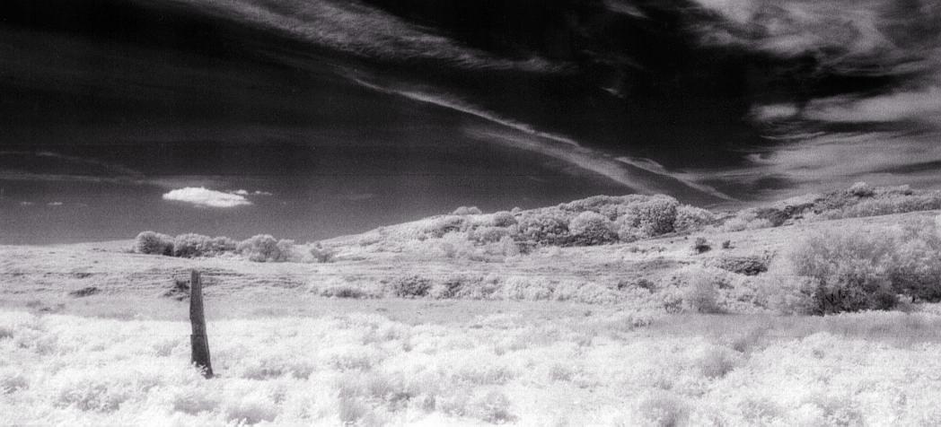 View to the north in infra red.
