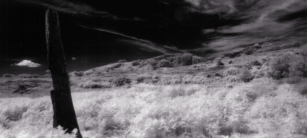 A closer view to the north.  Using infra red film again.