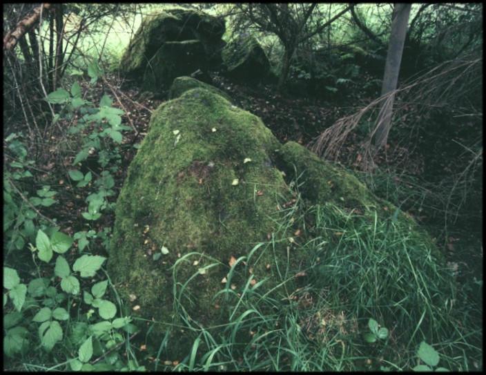 Three moss-covered stones amongst the trees on the west arc of the circle.