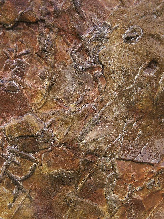 Detail of the sedimentary patterns on a stone on the southern arc.