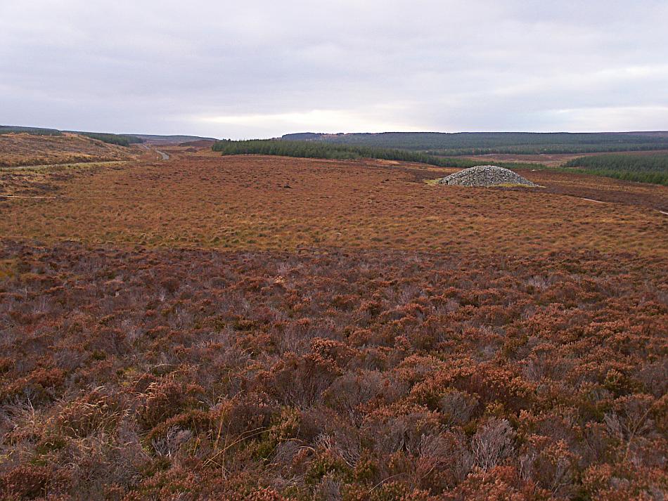 Looking towards the round cairn from the long cairn.  The entrance can be seen at the left edge of the cairn.