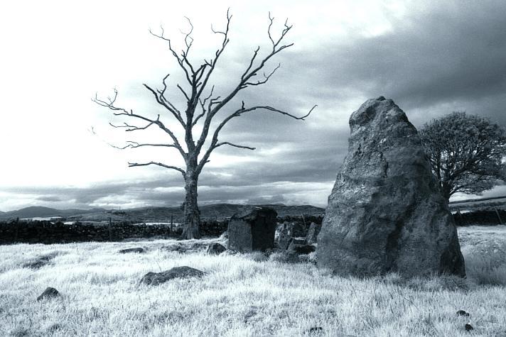   Looking west.  The chamber is enclosed by the low stones between the triangular portal stone and the bare tree.