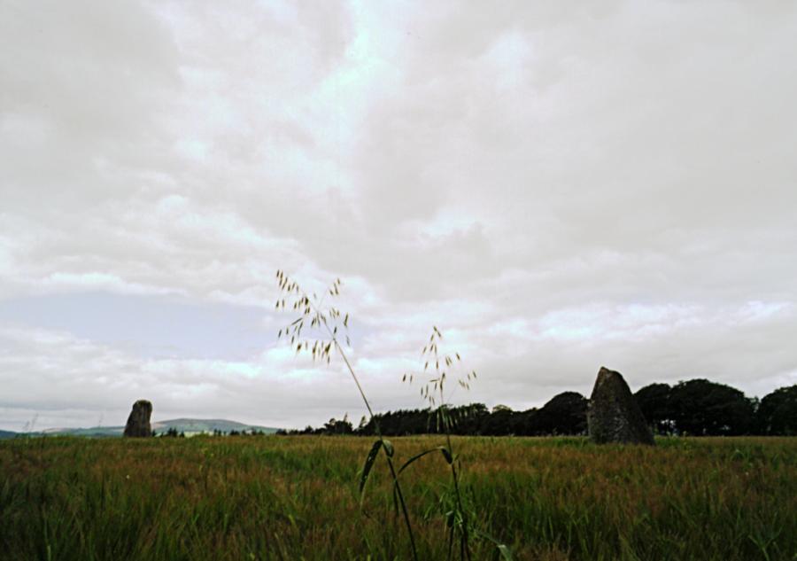 The pari of stones, looking west.  The nearby recumbent stone circle is at the far end of the field, between the two stones.