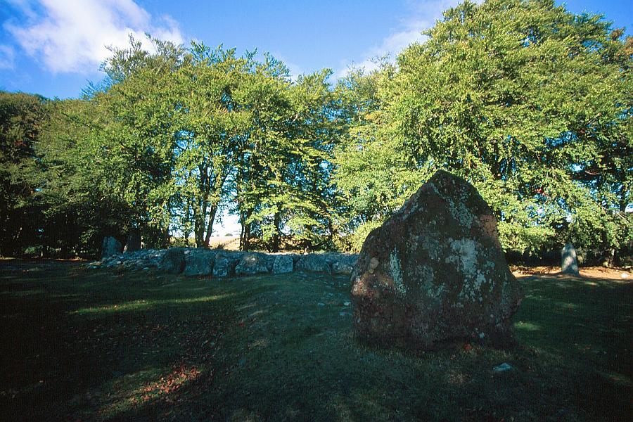 Stones surrounding the ring cairn.