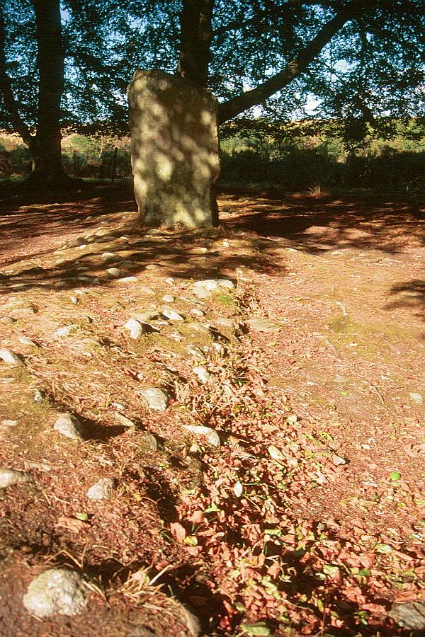 Looking from the ring cairn along a radial embankment to a distinctly red standing stone.