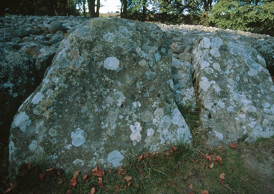 A cup-marked kerb stone in the ring cairn.