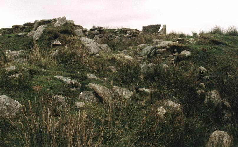  View from downslope outside the house. The stones forming the main chamber of the cairn can be seen on the skyline.