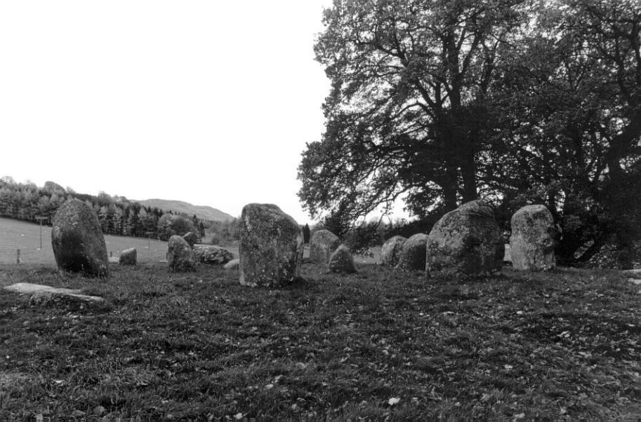 Looking south across all the stones.