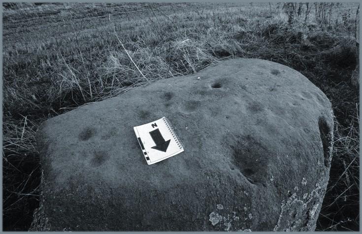 The top of the cup-marked stone.  The arrow indicates north, and the scale at the side of the arrow is marked in 1cm and 5cm units.