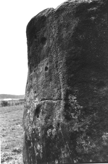 Cup marks can be seen here. There are also smaller, sharper dips where stones and pebbles have dropped out of the sandstone matrix.