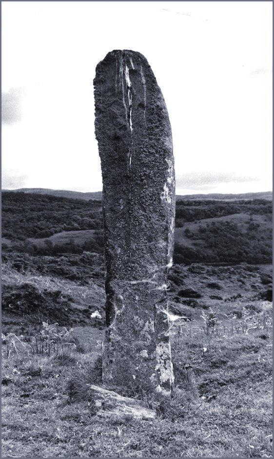 The west face of the megalith. CANMORE describes the depressions on the surface as natural, although the spot approximately half way up and to the right of centre looks like a typical cup-mark from close up.