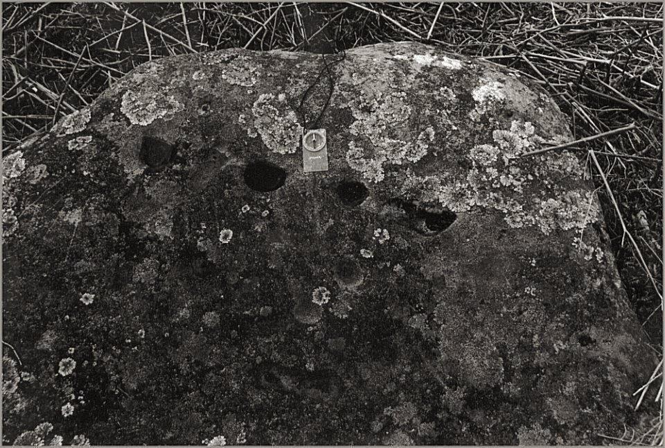 Detail of the surface, with the compass showing south to be up the picture.  A dumbell (two joined cups) can be faintly seen at the bottom-centre.