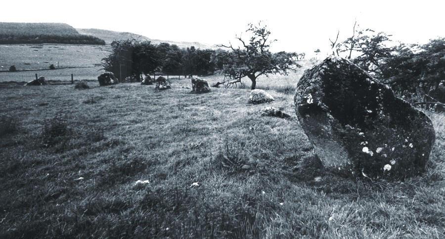 This is the northern arc of the circle looking to the north west.  The fence and trees running from the left-centre of the picture, just behind the stones, marks the edge of the River White Esk.