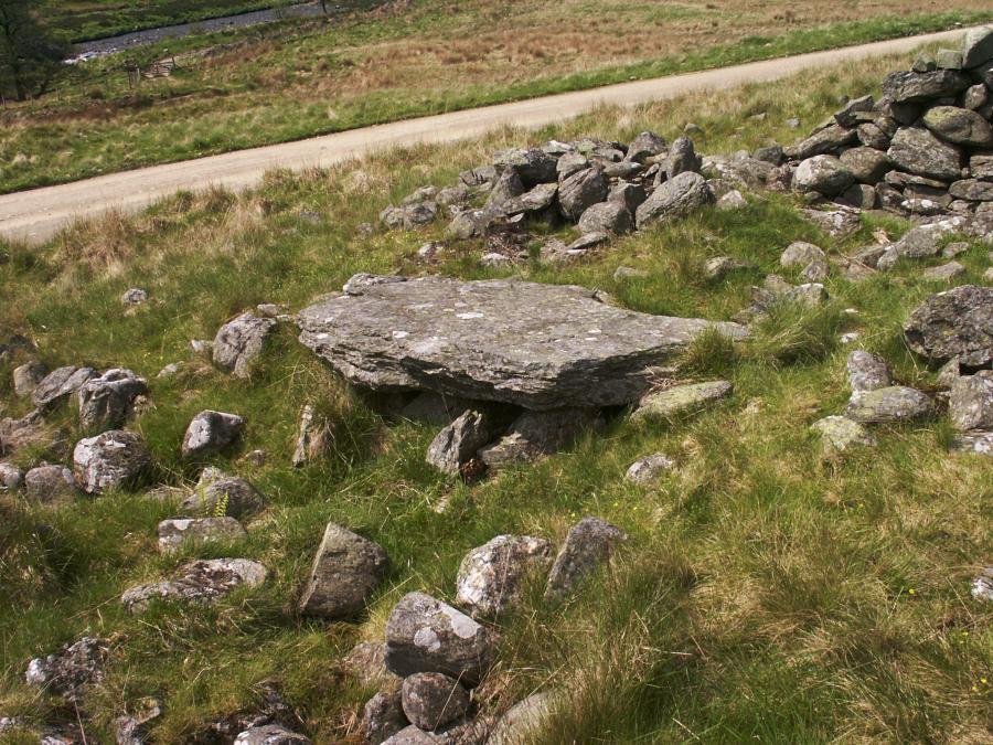Another cist, still with its capstone, at the eastern end of the cairn.
