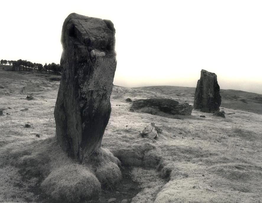 The two southernmost standing stones, and one fallen stone, looking to the southwest.  The nearer stone is a little over four feet tall, the further stone is about five feet nine inches tall.