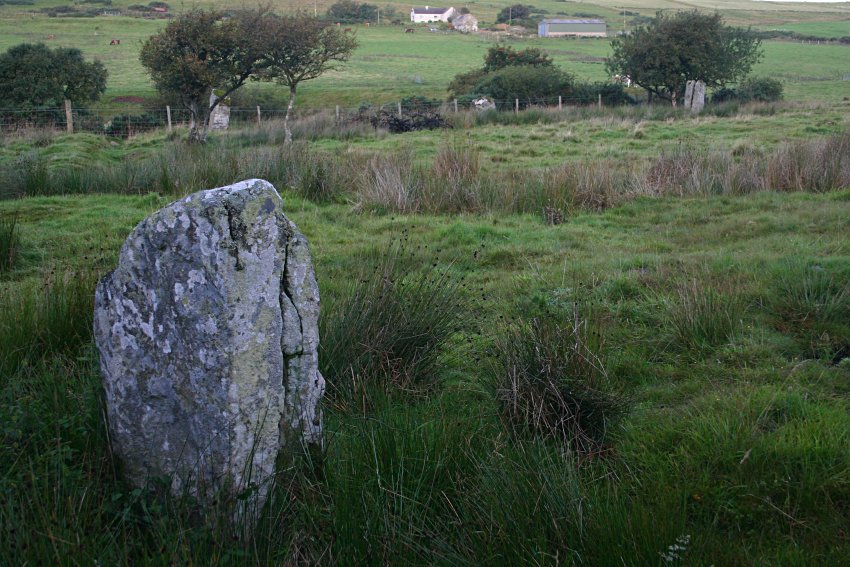 Looking from the easterly stone to the western arc.  The Burn of Latheronwheel runs immediately behind the three stones on the fence-line.