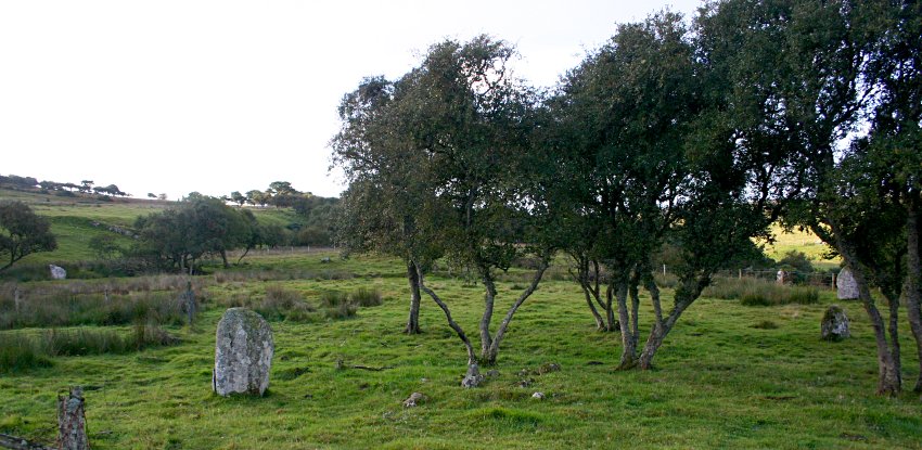 Looking to the south from the northern arc.  The western stones are at the right of the picture.  The most easterly remaining stone is in the distance at the left of the picture.  The missing stones of the eastern arc of the circle, if they still stood, would extend almost as far again beyond the left of the picture.